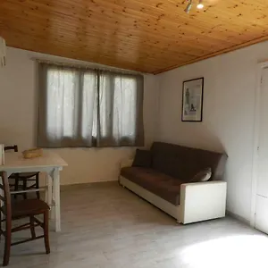 Flat In Fiera Appartamento